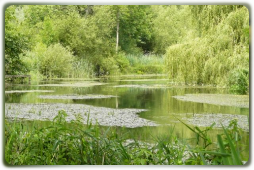 Dun, Hungerford Marsh
