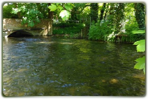 Kennet, Avington/Denford