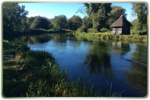 Test, Leckford