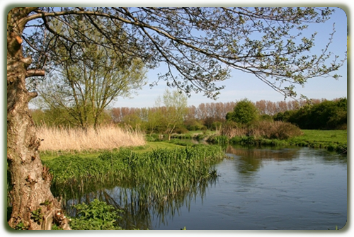 Itchen, Lower Itchen