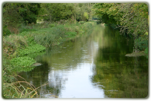 Test, Park Stream
