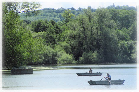 Tring Reservoirs